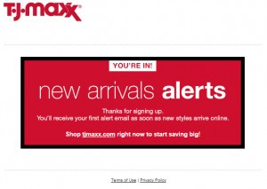 TJ Maxx landing page 2